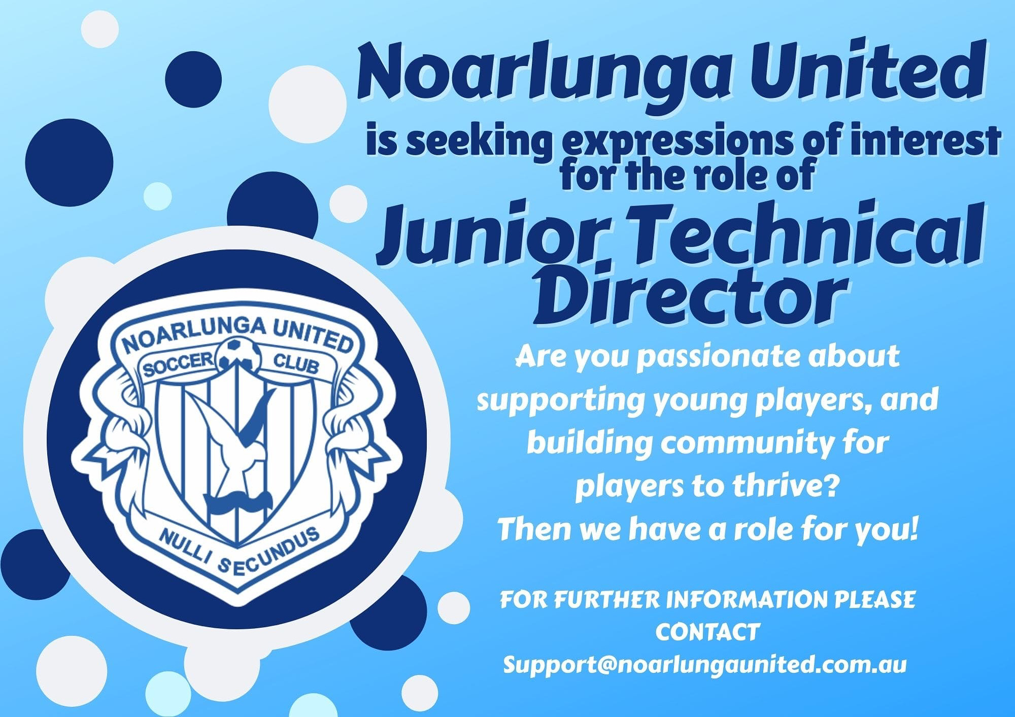 Junior Technical Director